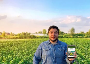 AGROINTELI-Renato-Borges