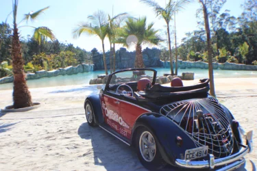 FUSCA-MAGIC-CITY