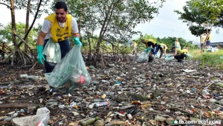 ecofaxina-voluntarios